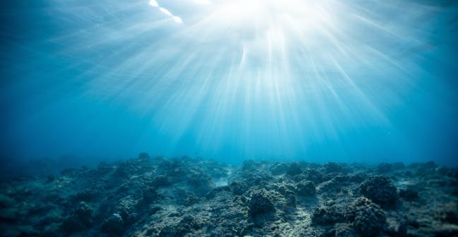 View from the sea floor looking up towards a ray of light at the surface.
