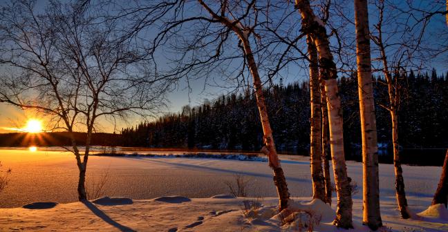 View of sunset over snowy field in woods