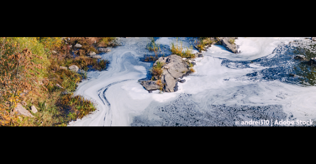 A photo of a river's edge with foam pollution visible on the surface of the water