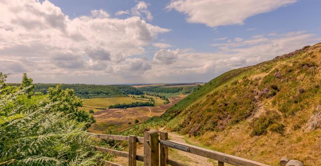 rural landscape in north Yorkshire