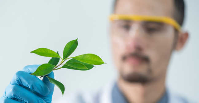 person with goggles holding a plant