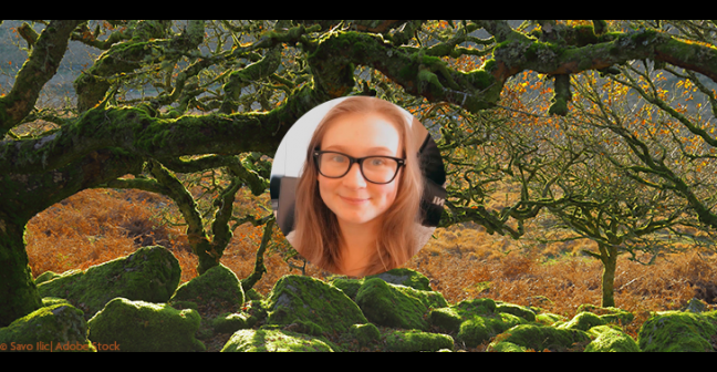 Sophie hoyland overlaid on image of ancient forest devon