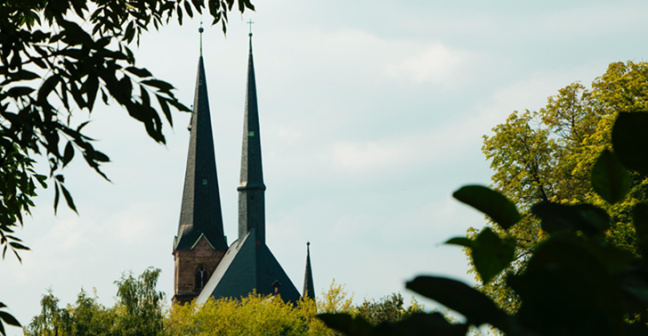 church spire with trees