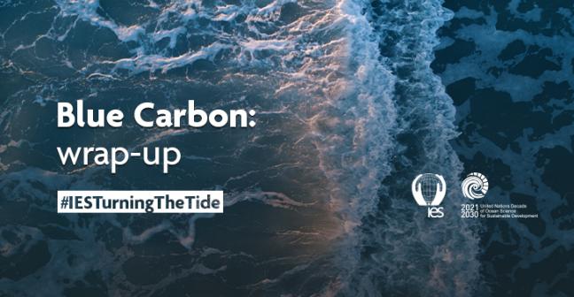 Overhead view of the ocean with a wave 2/3 of the way across. Superimposed with text reading "Blue Carbon: wrap-up. #IESTurningTheTide." Bottom right corner features the IES and UN Ocean Decade logos.