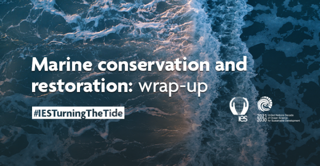 An ocean wave, viewed from above, is in the background. Text reads 'Marine conservation and restoration: wrap-up", "#IESTurningTheTide". The IES and Ocean Decade logos are visible next to the text.
