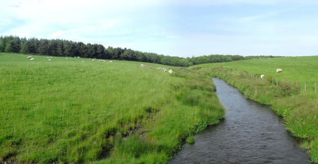 An image of a river flowing through grassy farmland
