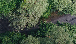 Photo of forest from above with road going through