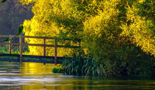 Photograph of a wooden bridge over a river