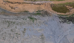 Aerial view of the saltmarsh restoration trial site