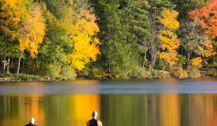 Two wild swimmers wading into a lake lined with forest