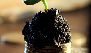 A photograph of a small green seedling emerging from a small pile of soil on top of a stack of pound coins.