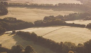 A photo of a British countryside landscape of fields and hedgerows at dusk