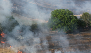farmland burning with smoke rising after extreme heat