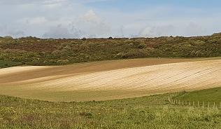 photo of agricultural degradation of soils on the South Downs by Robert Earl CEnv