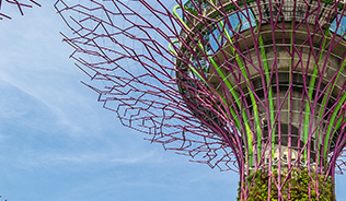 A photo of the Landscape of Gardens in Singapore