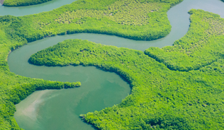 Twisting river meandering through the rainforest