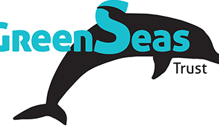 A logo with a black dolphin against a white background, with the words GreenSeas Trust in blue writing across the image.