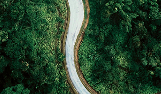 winding path seen from birds-eye view