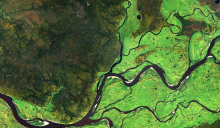River network from above surrounded by green landscape