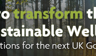 Woodland fading into UK Parliament with overlaid text "How to transform the UK for sustainable wellbeing: Priority actions for the next UK Government"