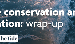 An ocean wave, viewed from above, is in the background. Text reads 'Marine conservation and restoration: wrap-up", "#IESTurningTheTide". The IES and Ocean Decade logos are visible next to the text.