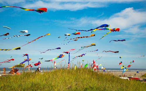 Many kites in the air at the Washington State International Kite Festival at Long Beach