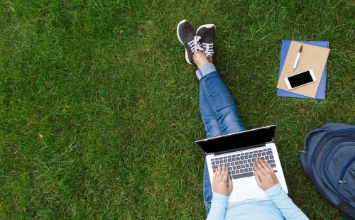 A birds eye view of a person working on a laptop sitting on grass