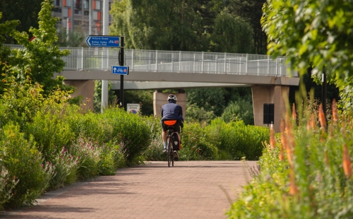 Cycling through Sheffield with green planting and SUDs developments