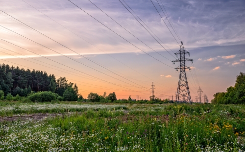 Power lines over meadow