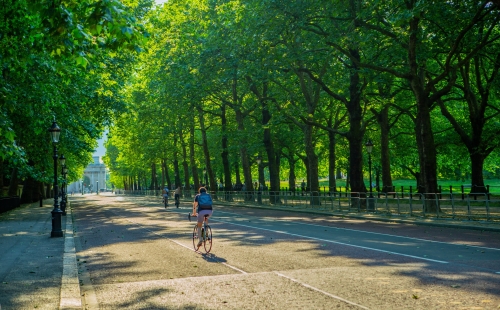 A person cycling in Hyde Park, London 