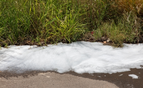 Foam flowing down the side of a street next to a patch of grass