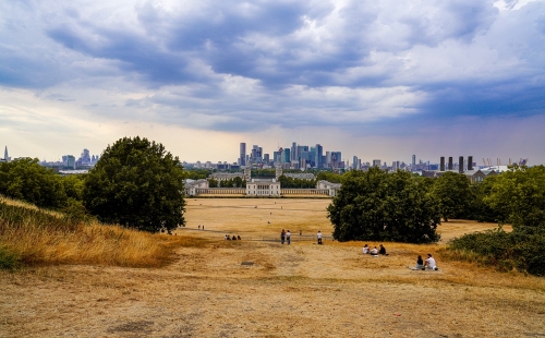 Dead grass in Greenwich Park, London, during the 2022 heatwave and drought