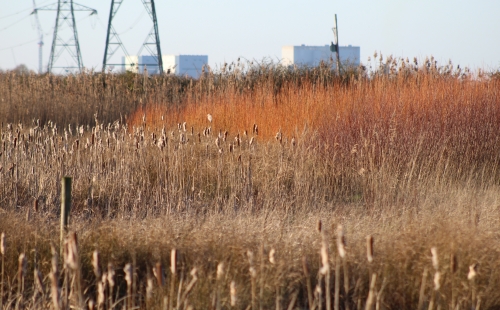 Hinkley Point Power Station