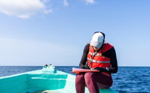 Marine biologist writing down data sitting on a boat, out to sea