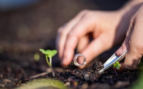 Taking a soil sample for a soil test in a field
