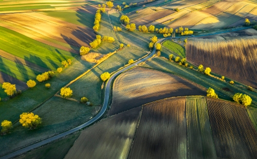 Sun on fields © Piotr Krzeslak
