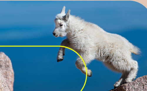 Front cover of IES 2025 annual report. Image of mountain goat jumping