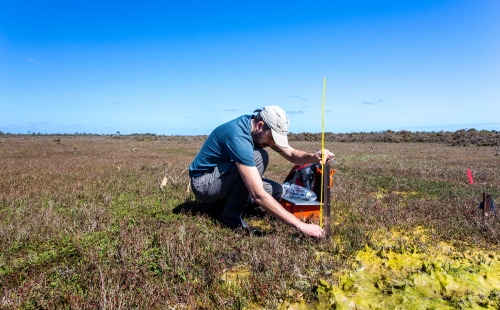 Ecologist setting up a water level logger in a wetland
