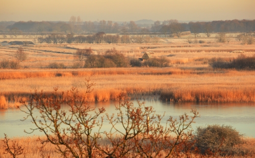 Norfolk broads lit up in an orange colour