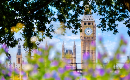 UK Parliament framed by colourful flowers
