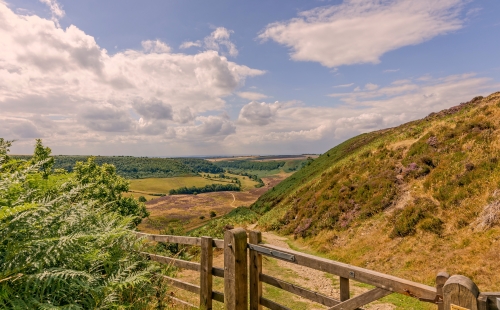 Rural landscape looking over a valley