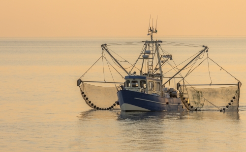 Fishing Trawler at sunset