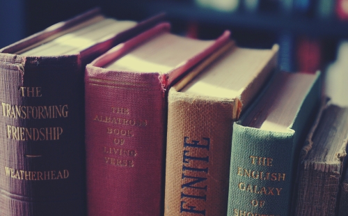 Close up photo of book spines