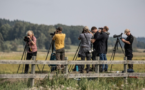 Group of people looking through binoculars in field