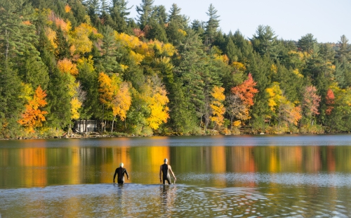 Cold swimming in an autumn forest