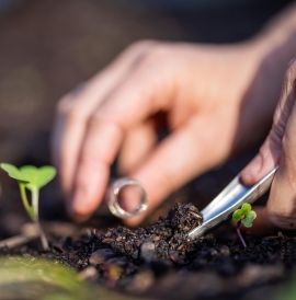 Someone taking a soil sample