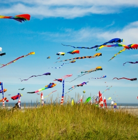 Many kites in the air at the Washington State International Kite Festival at Long Beach