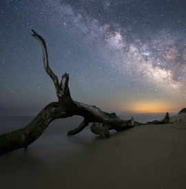 Milky way over beach