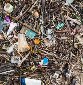 Plastic and litter pollution on a beach, mixed with driftwood and natural waste