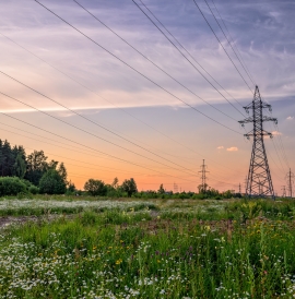 Power lines over meadow